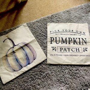 2 fall farmhouse decor pillows and covers